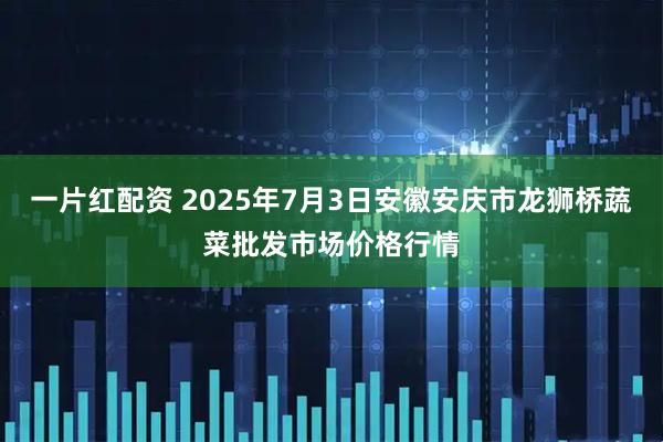 一片红配资 2025年7月3日安徽安庆市龙狮桥蔬菜批发市场价格行情