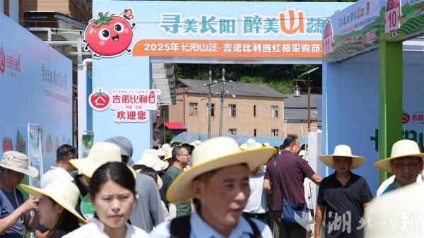 慧仁策略 全省首个西红柿产业小镇落户长阳 首日签约突破1亿元
