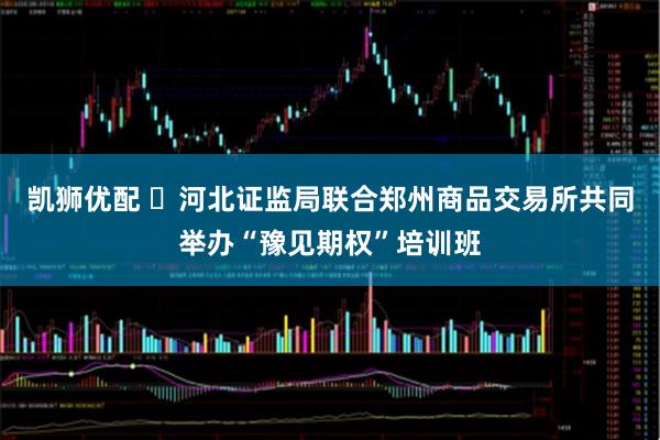 凯狮优配 河北证监局联合郑州商品交易所共同举办“豫见期权”培训班