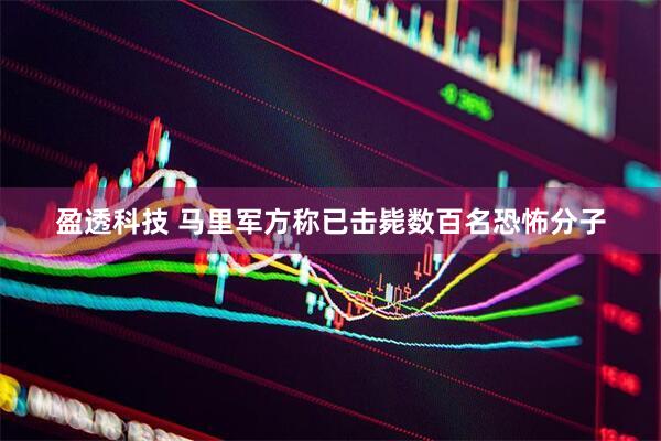 盈透科技 马里军方称已击毙数百名恐怖分子